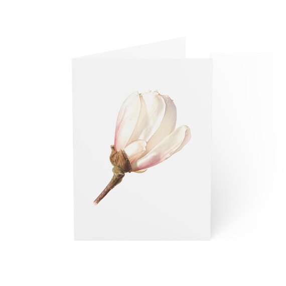 Magnolia Flower Greeting Card, Digital Art Print, Botanical Card, Blank Inside for Any Occasion, Bill Shew wall art print