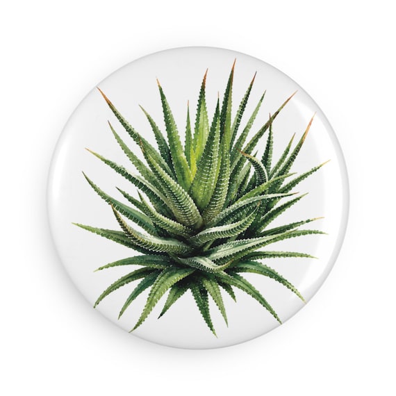 Zebra Haworthia Magnet, Watercolor Succulent Fridge Magnet, Botanical Plant Magnet by Bill Shew