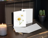 Oxeye Daisy Watercolor Greeting Card – Botanical Wildflower Art (8 Cards), alternate view (Bill Shew)