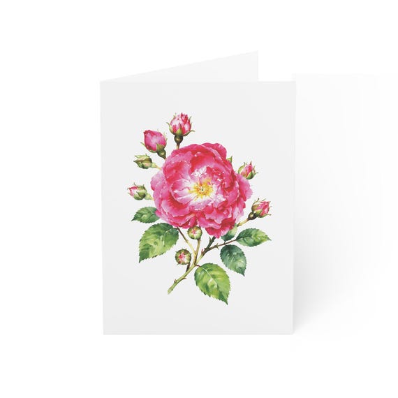 Pink Rose Greeting Card, Magenta Garden Rose Digital Art Print, Botanical Card, Blank Inside for Any Occasion, Bill Shew wall art print