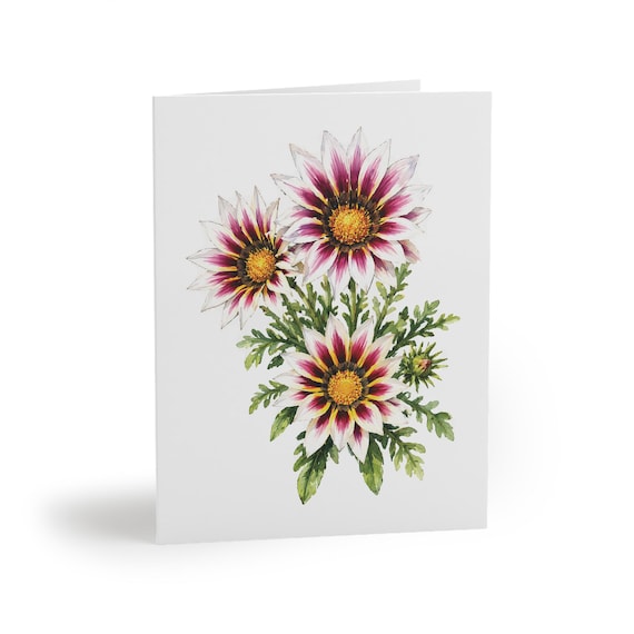 8 cards - White Gazania Greeting Card, Gazania Botanical Watercolor by Bill Shew