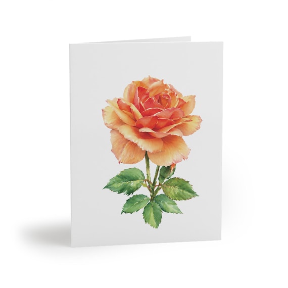 8 cards - Peach Coral Rose Botanical Watercolor Greeting Card, Single Bloom Note Card by Bill Shew