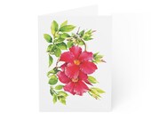 Mandevilla Flower Card, Digital Art Print, Botanical Card, Blank Inside, Bill Shew wall art print
