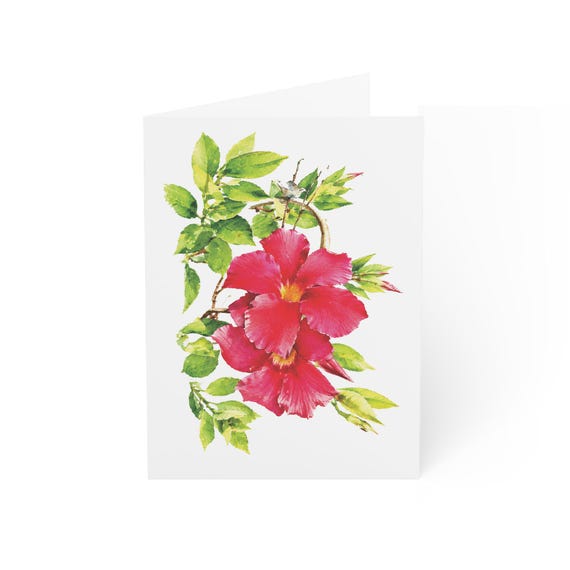 Mandevilla Flower Card, Digital Art Print, Botanical Card, Blank Inside, Bill Shew wall art print