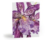 Purple Toad Lily Watercolor Greeting Card, Spotted Floral Art (Blank Note Card) by Bill Shew