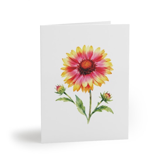 8 cards - Blanket Flower Watercolor Card, Red Yellow Wildflower Floral Note, Blank Inside by Bill Shew