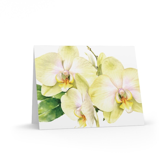 Yellow Phalaenopsis Orchid Watercolor Greeting Card, Botanical Floral Art (Pack of 8) Yellow Phalaenopsis Orchid Watercolor Greeting Card, Botanical Floral Art (Pack of 8) by Bill Shew
