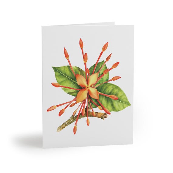 Orange Botanical Greeting Card, Watercolor Flower Card, Floral Note Card by Bill Shew