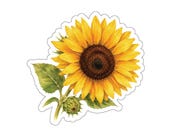 Sunflower Sticker, Botanical Sunflower Flower Sticker, Yellow Floral Sticker by Bill Shew