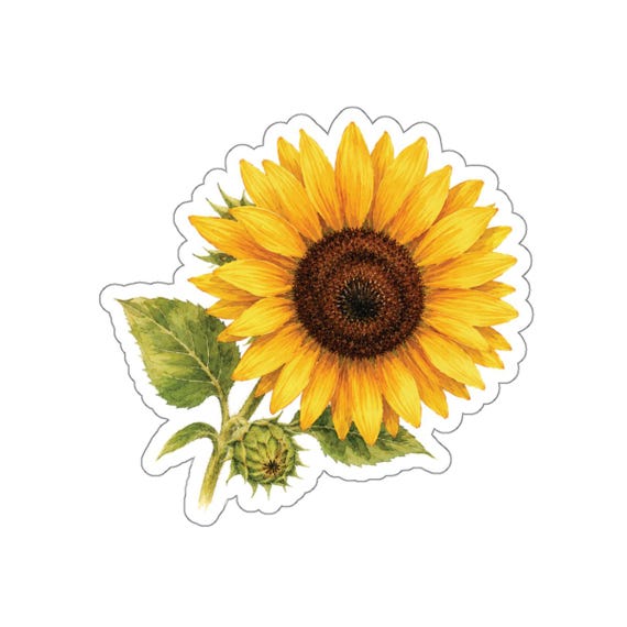 Sunflower Sticker, Botanical Sunflower Flower Sticker, Yellow Floral Sticker by Bill Shew