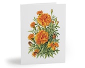 8 cards - Orange Marigold Botanical Watercolor Greeting Card, Golden Floral Art Note by Bill Shew