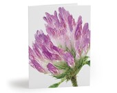 Red Clover Watercolor Greeting Card, Purple Trifolium Pratense Botanical Art by Bill Shew