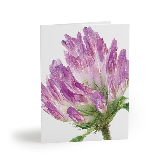 Red Clover Watercolor Greeting Card, Purple Trifolium Pratense Botanical Art Red Clover Watercolor Greeting Card, Purple Trifolium Pratense Botanical Art by Bill Shew