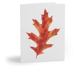Watercolor Red Maple Leaf Greeting Card, Autumn Botanical Art (4.25" x 5.5") by Bill Shew