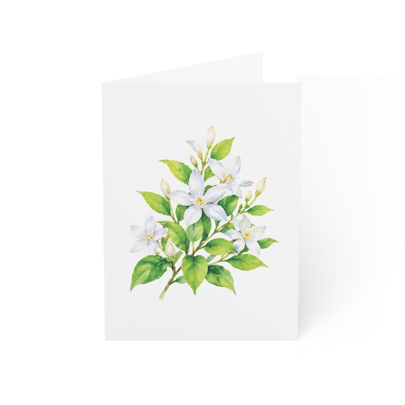 Orange Blossom Card, Digital Art Print, Botanical Card, Blank Inside, Bill Shew wall art print