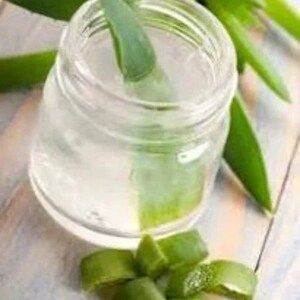May include: A clear glass jar filled with aloe vera gel, with a fresh aloe vera leaf sticking out of the top.  There are several aloe vera leaves on the table next to the jar.
