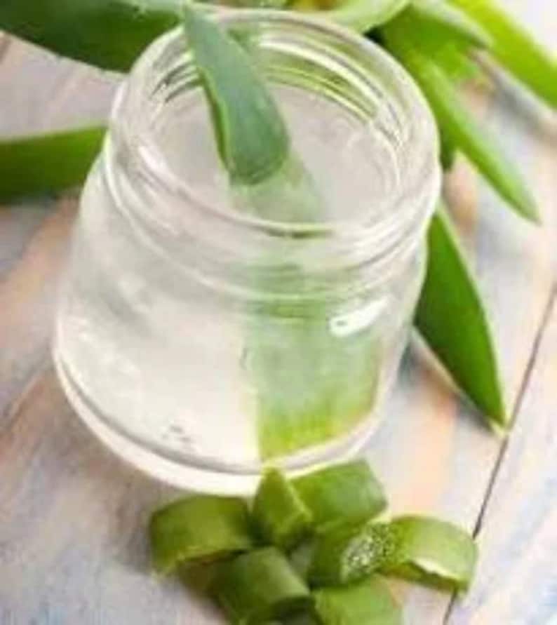 May include: A clear glass jar filled with aloe vera gel, with a fresh aloe vera leaf sticking out of the top.  There are several aloe vera leaves on the table next to the jar.
