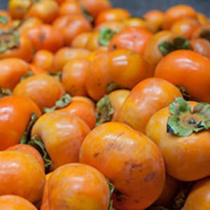 Handmade Persimmon Oil Soap: Green Tea, Turmeric, Honey imagen 3
