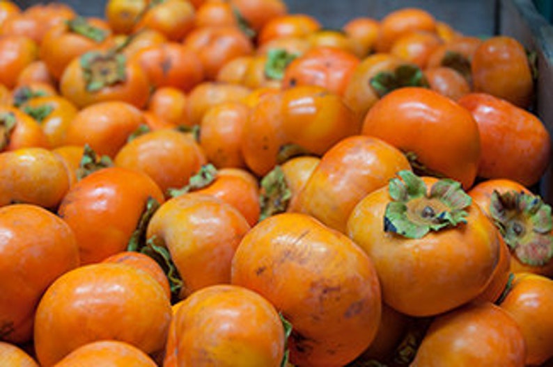 Handmade Persimmon Oil Soap: Green Tea, Turmeric, Honey imagen 3