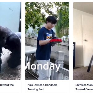 May include: A three-panel collage featuring a gorilla charging toward glass, a person in a blue t-shirt striking a red handheld training pad, and a shirtless individual swinging a black belt toward the camera with the text Monday visible.
