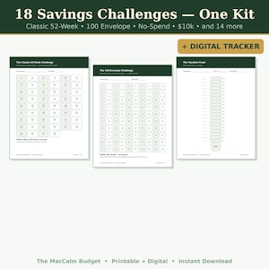 Savings Challenge Printable Bundle 52 Week Money Challenge 100 Envelope Challenge Savings Tracker A6 Cash Envelope Insert Google Sheets