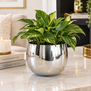 May include: A round, reflective silver-toned metal planter containing a lush pothos plant with variegated green and cream-colored heart-shaped leaves. The planter has a smooth, polished surface that mirrors its surroundings.