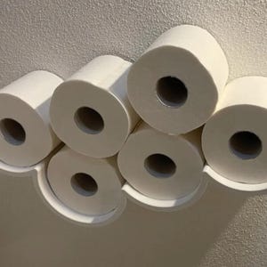 May include: A white wall-mounted toilet paper holder shaped like a cloud, holding six rolls of white toilet paper. The structure features curved, shelf-like sections that support the rolls in a stacked, cloud-like arrangement against the wall.