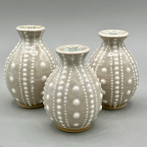 Pode incluir: Três pequenos vasos de cerâmica com um esmalte branco salpicado. Os vasos são redondos e têm uma superfície texturizada.