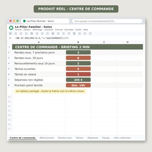 May include: A digital spreadsheet interface titled Le Pilier Familial - Soins, featuring a command center dashboard with rows for appointments, renewals, tasks, expenses, and family meetings, utilizing green and brown color-coded data cells.