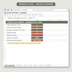 Family Caregiver Planner Google Sheets | Medication, Appointments, Tasks (PDF Guide) image 9