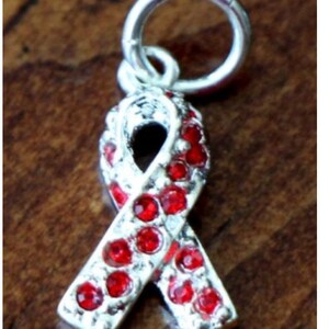 May include: A silver charm in the shape of a red ribbon with rhinestones. The charm has a loop at the top for attaching to a bracelet or necklace.