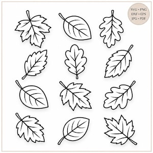 12 Autumn Leaf SVG Bundle, Botanical Cut Files (Digital Download)