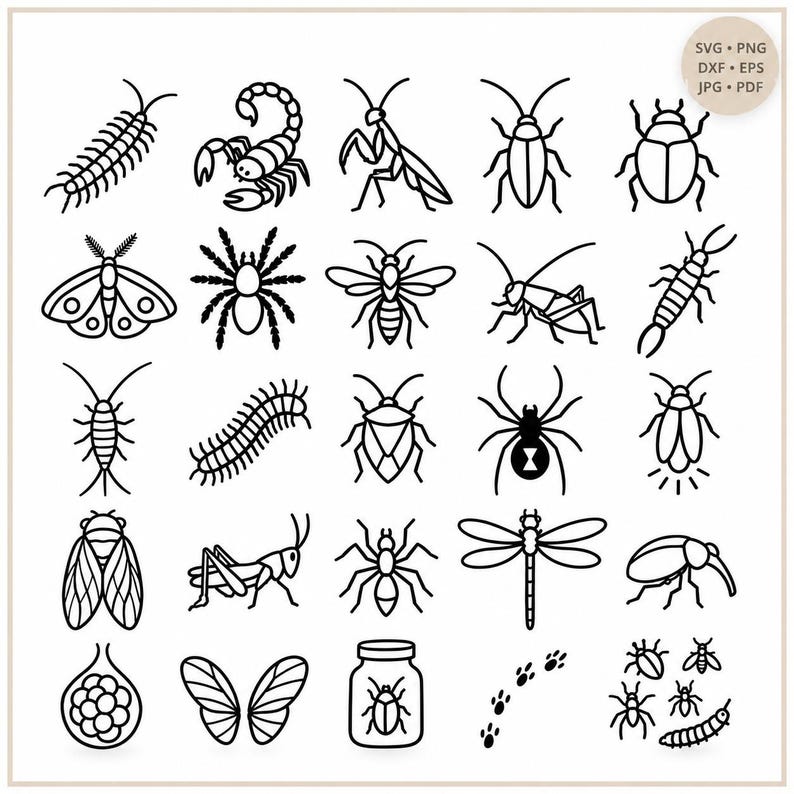 Fly Insect Svg Insect SVG Bundle, Bug Clipart, Entomology Line Art (digital Download ...