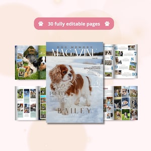 Op de afbeelding: Een digitaal sjabloon voor een hondenherinneringsmagazine met 30 volledig bewerkbare pagina's. De cover toont een bruine en witte Cavalier King Charles Spaniel in de sneeuw met de tekst Dog Memory Magazine Vol 03, Pretty Girl en Bailey 2024.