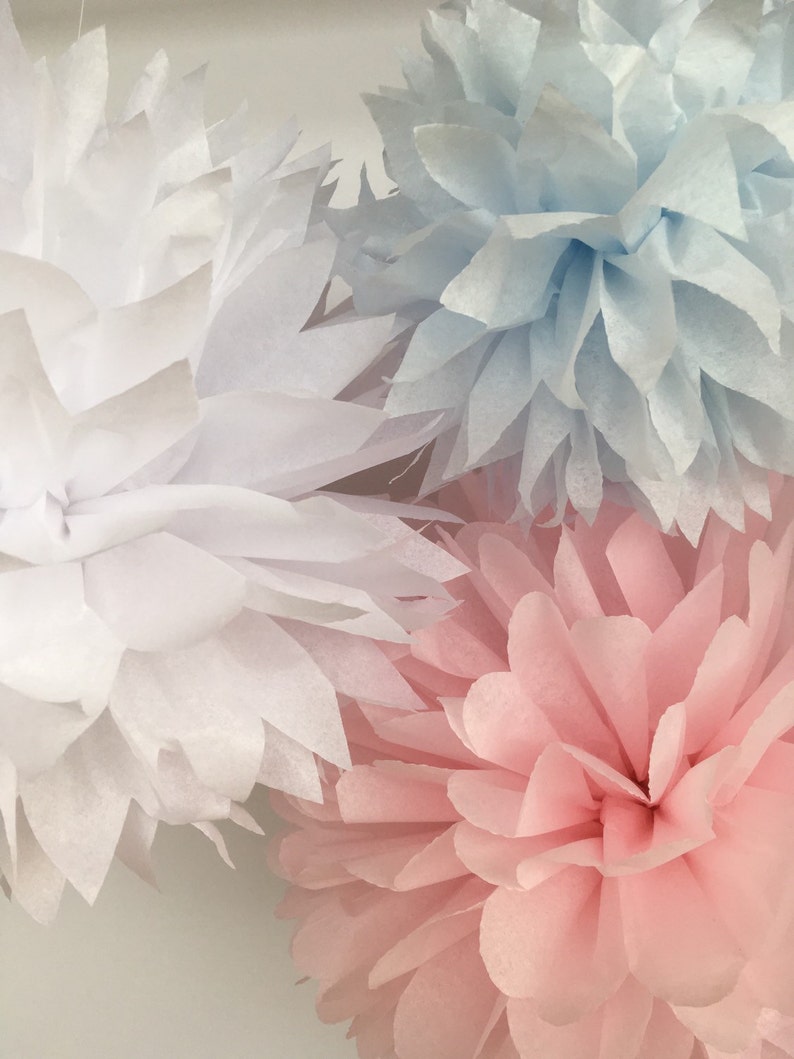 10 Tissue Paper Pom Poms Choose Your Colors Classroom Etsy