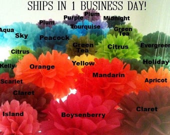 10 EXTRA LARGE Tissue Paper Pom Poms -- Choose Your Colors-- Baby Shower/ Nursery/ Bedroom/ Party Decorations tissue pom
