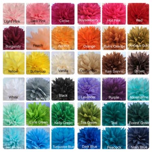 May include: A grid of thirty-six circular paper pom-poms in various colors, each labeled with its specific shade name including Light Pink, Red, Burgundy, Yellow, White, Black, Lavender, Mint, and Navy Blue, arranged in a six-by-six layout.