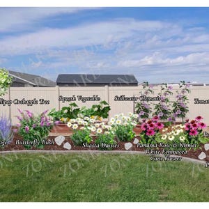 May include: A garden landscape featuring labeled plants including a Lollipop Crabapple Tree, Russian Sage, Butterfly Bush, Squash, Shasta Daisies, Stillwater Clematis, Tomato, Panama Rose, Kismet White Echinacea, Peach Blanket Flower, and Peach Sky Yarrow.