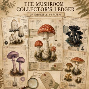 Könnte beinhalten: Eine Sammlung druckbarer Papiere mit dem Titel The Mushroom Collector's Ledger, die botanische Illustrationen verschiedener Pilze, darunter Amanita muscaria, mit handschriftlichen Notizen, Datentabellen und einer Lupe zeigt.