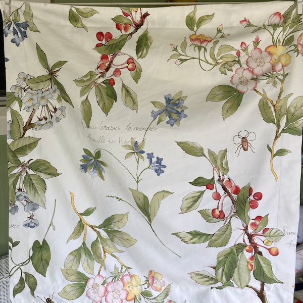 Vintage Pottery Barn Pillow Sham, Euro Size, Insert Size 26 x 27", Botanical Print, with French Writing, Multi-Colors, Cotton Fabric