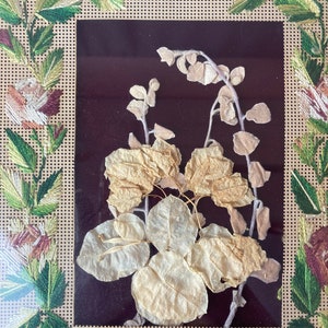 Op de afbeelding: Een ingelijst gedroogd bloemenarrangement met delicate witte bladeren en stengels op een donkerbruine achtergrond. De lijst is omgeven door een beige geborduurde rand met groene en bruine bloemmotieven.