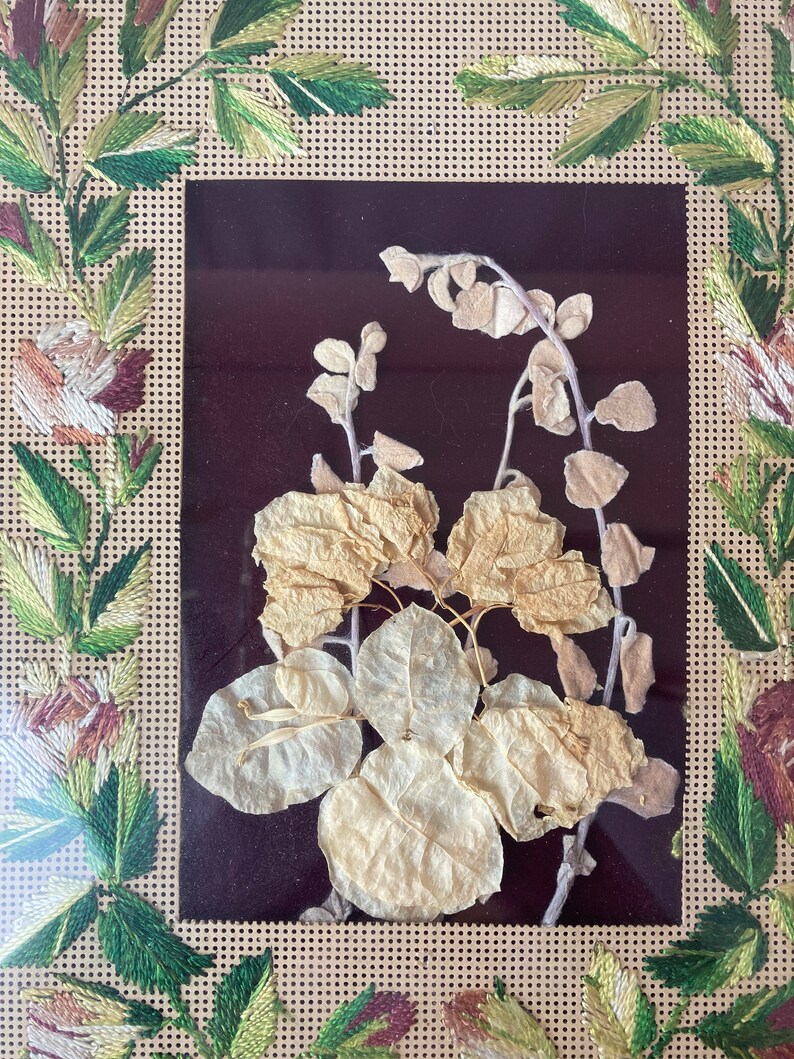 Op de afbeelding: Een ingelijst gedroogd bloemenarrangement met delicate witte bladeren en stengels op een donkerbruine achtergrond. De lijst is omgeven door een beige geborduurde rand met groene en bruine bloemmotieven.