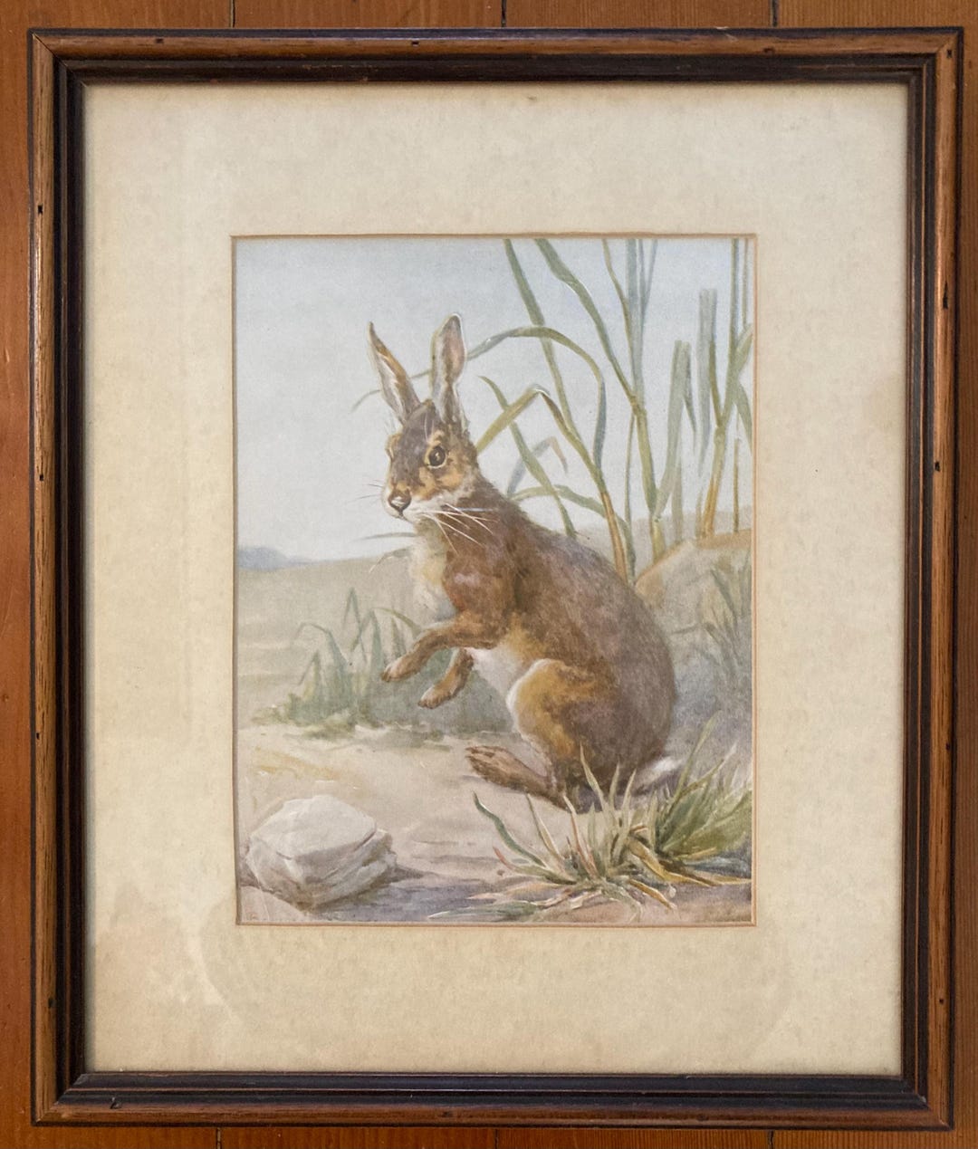 Vintage Lithograph, Rabbit or Hare, Sitting Up, Paws Raised, Green ...