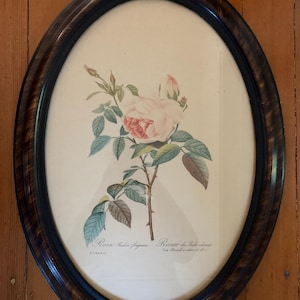 May include: An oval framed botanical print featuring a detailed illustration of a pink rose with green leaves and thorns. The print is set against a cream background and framed in a dark wood oval frame.