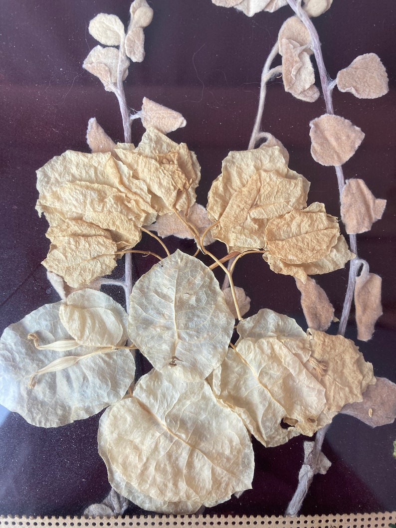Op de afbeelding: Een ingelijst gedroogd bloemenarrangement met delicate, gedroogde, lichtbruine bladeren en stengels op een donkerbruine achtergrond.