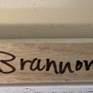 May include: Wooden frame with the artist's signature "Sonja Brannon" and the year "2004" in black ink. The frame is set against a canvas background.