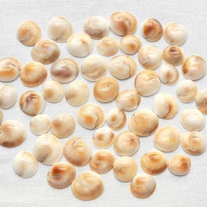 Puede incluir: Una colección de numerosas conchas marinas pequeñas, lisas y redondeadas esparcidas sobre una superficie de tela blanca. Cada concha presenta un acabado pulido y brillante con tonos crema, beige y marrón claro, con patrones espirales.