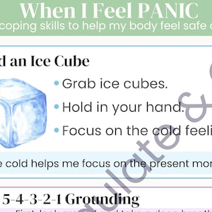May include: A mental health educational poster titled When I Feel PANIC, featuring two coping skills: Hold an Ice Cube with an illustration of an ice cube, and Use 5-4-3-2-1 Grounding with icons for sight, touch, hearing, smell, and taste.