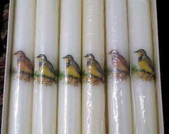 Set of Six Rare Vintage Bird Candles Meadowlark Candles, Song Bird Audubon Collection Decorative Germany Wedding Special Occasion Candles