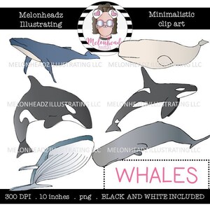Whale clip art - Minimal Style - Mini